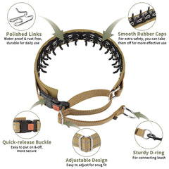 Mayerzon martingale no pull collar reflective webbing enables safer night walks