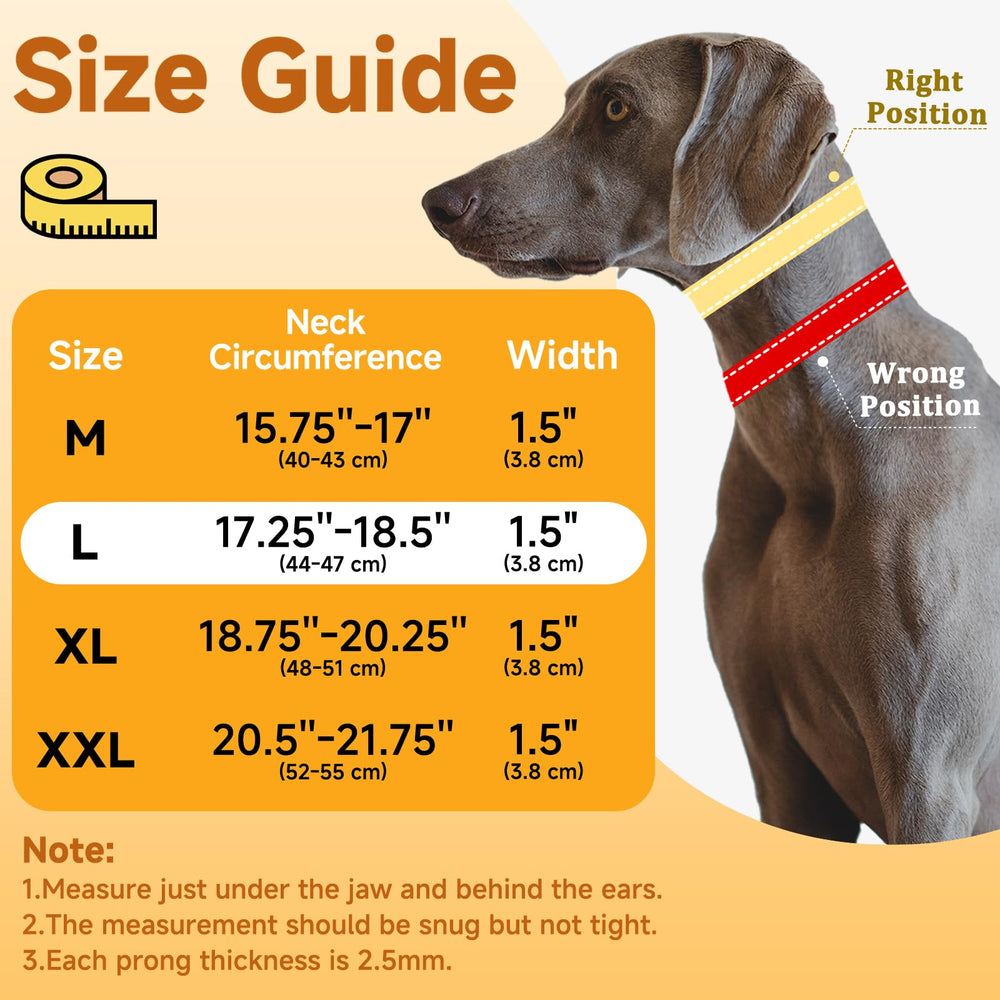 Mayerzon Martingale No Pull Collar quick-release buckle enables easy on-off for busy owners.