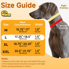 Mayerzon Martingale No Pull Collar quick-release buckle enables easy on-off for busy owners.