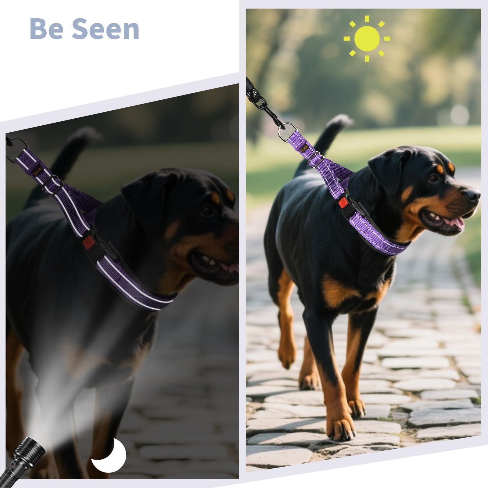 Mayerzon Martingale no pull collar adjustable slider aids proper neck fitting