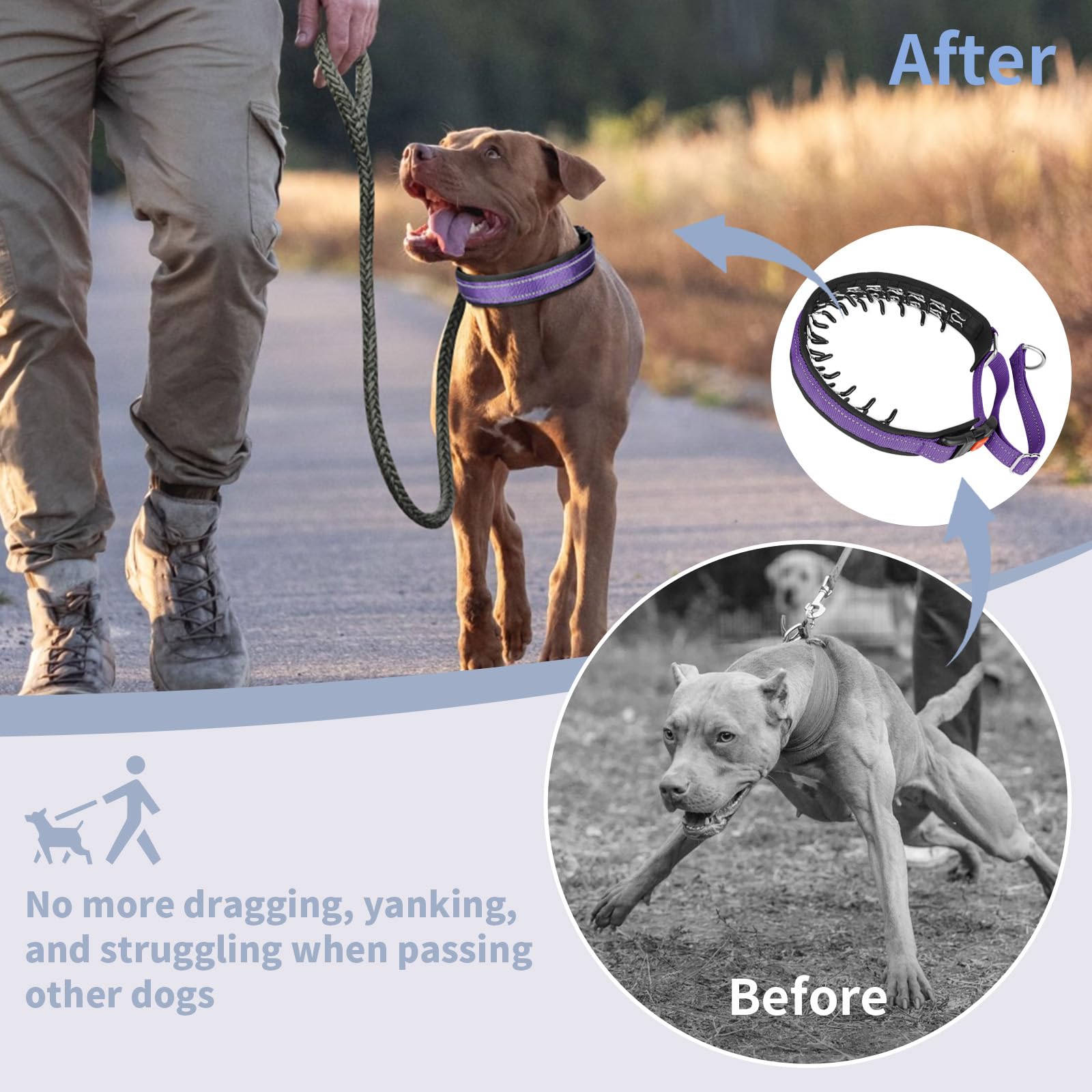 Mayerzon Martingale no pull collar in-use during walking shows pull-free control