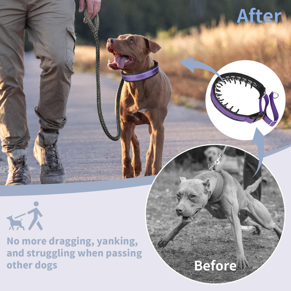 Mayerzon Martingale no pull collar in-use during walking shows pull-free control