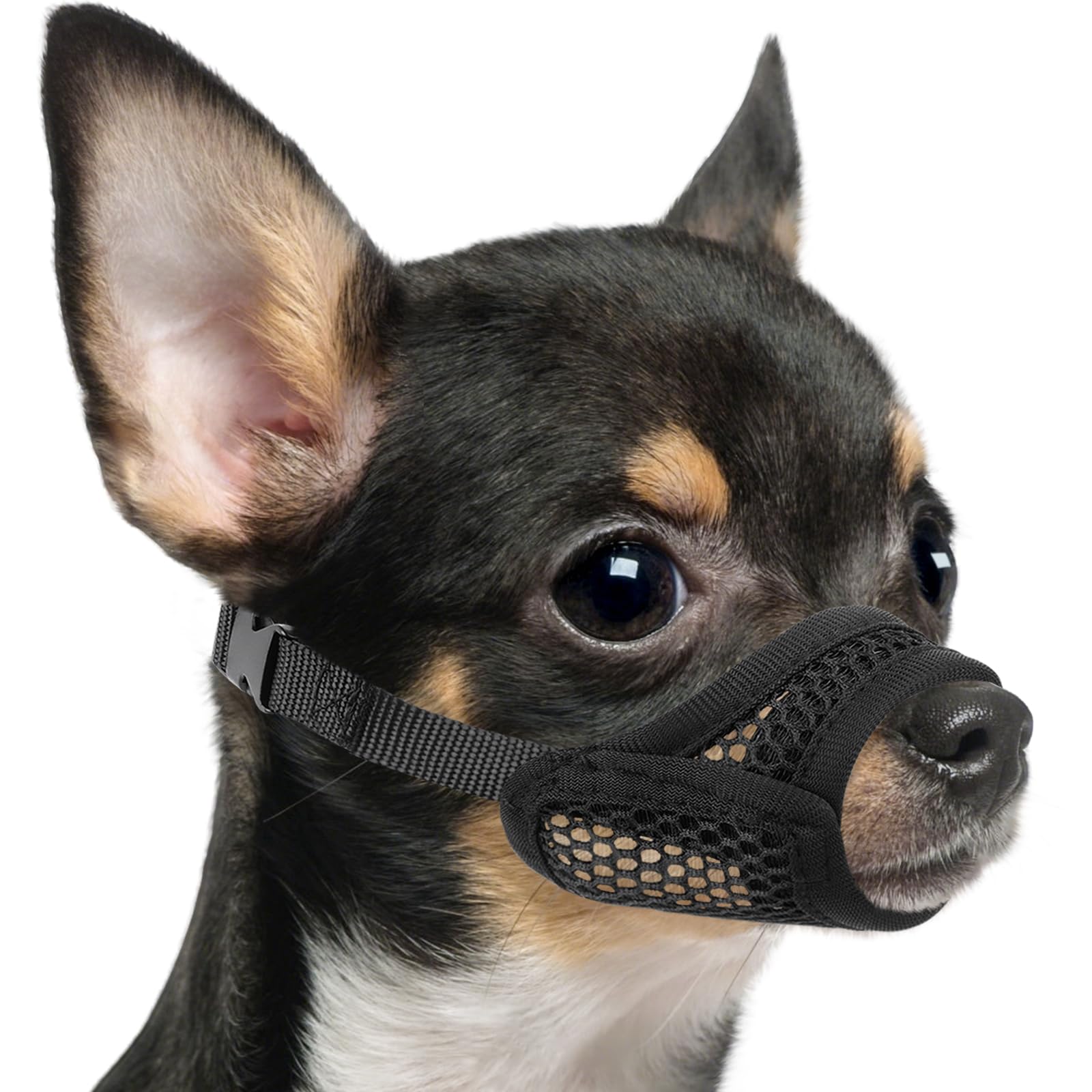 Mayerzon mesh muzzle front opening for brachycephalic comfort during grooming