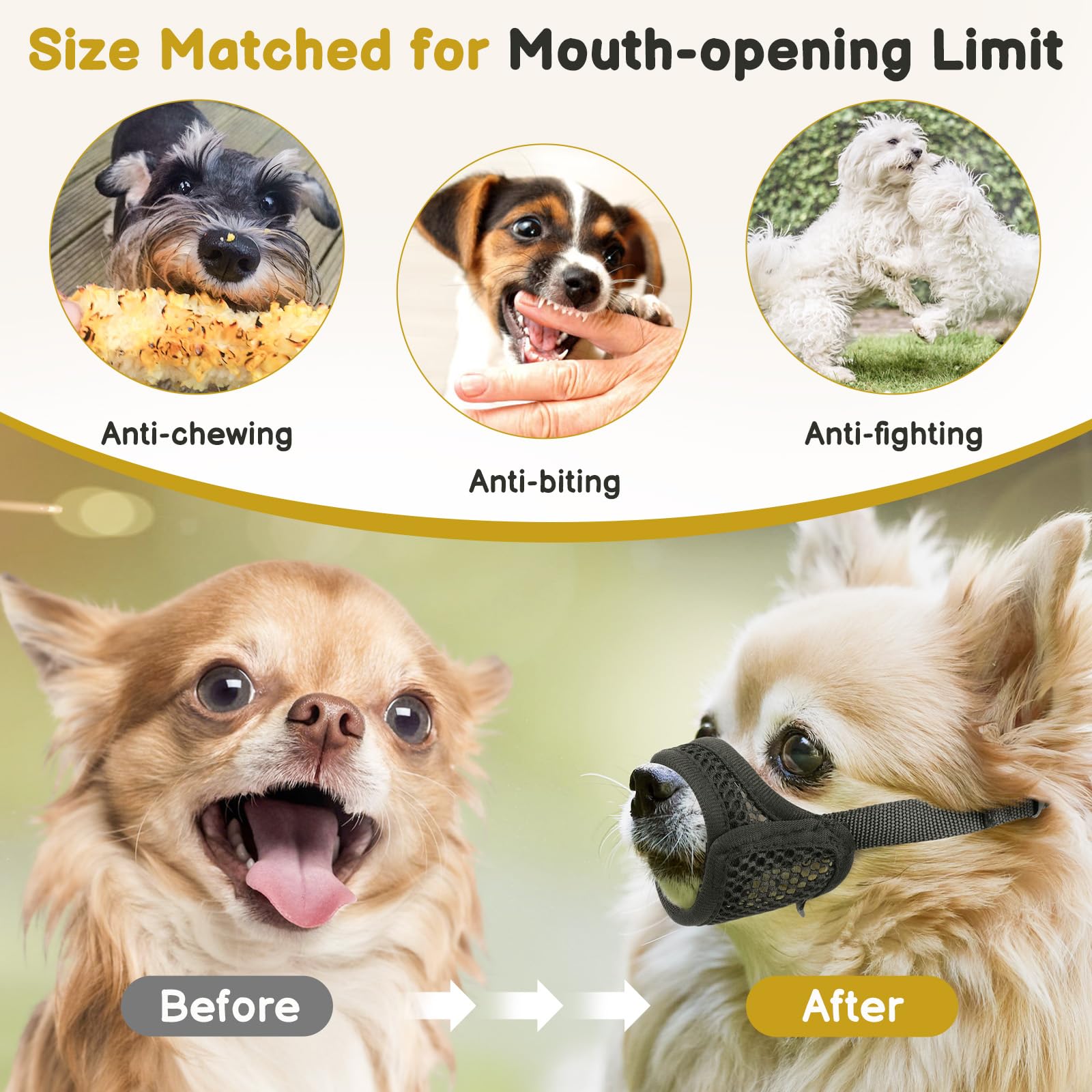 Mayerzon mesh muzzle grooming and vet-use suitable for visits