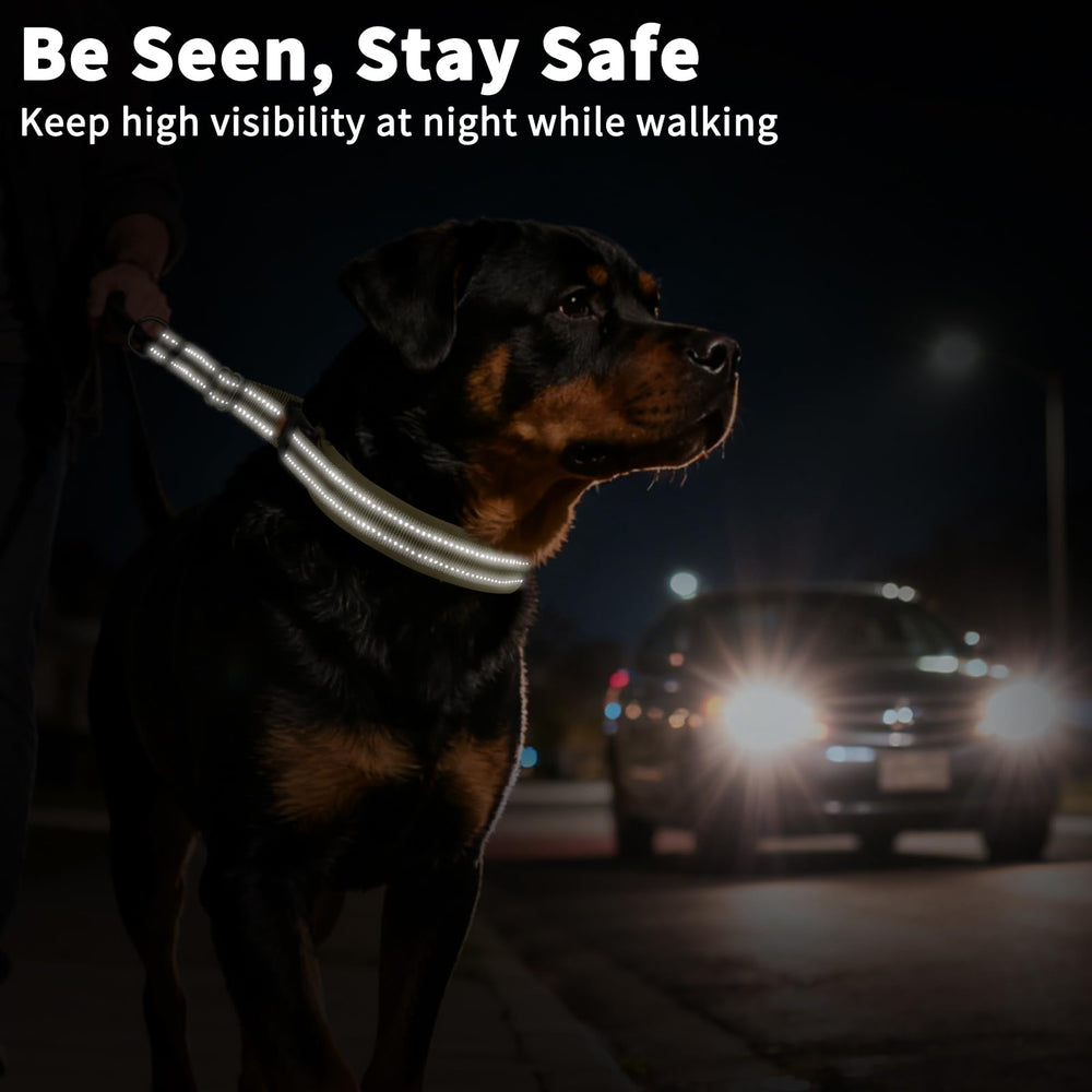 Mayerzon no pull collar in use during a walk shows improved leash control and focus
