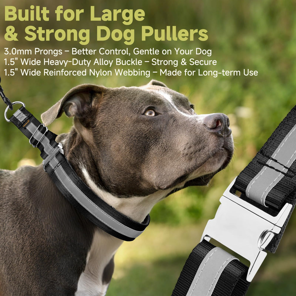 Mayerzon No-Pull Martingale Collar with durable D-ring for secure leash attachment