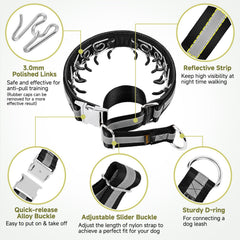 Mayerzon No-Pull Martingale Collar reveals reflective weave for safer evening strolls