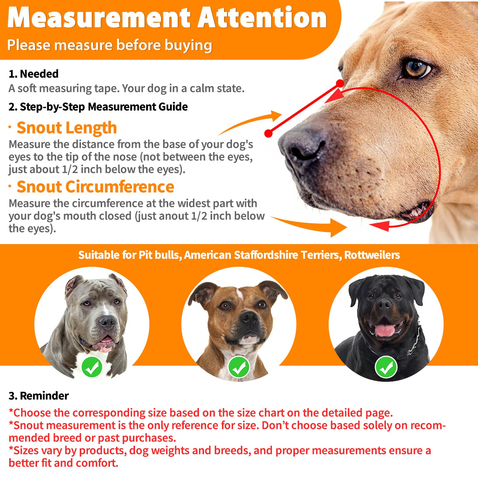 Mayerzon Pitbull Muzzle adjustable straps demonstrate precise fit and secure handling