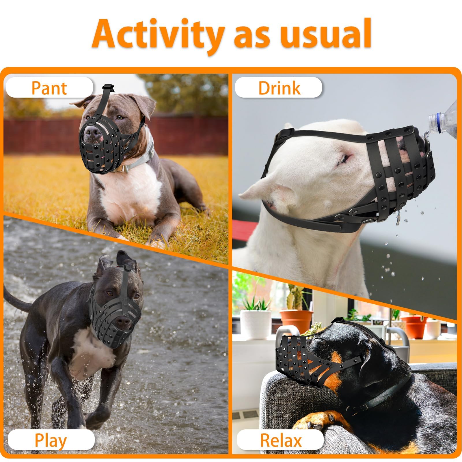 Mayerzon Pitbull Muzzle supports safe daily walks.