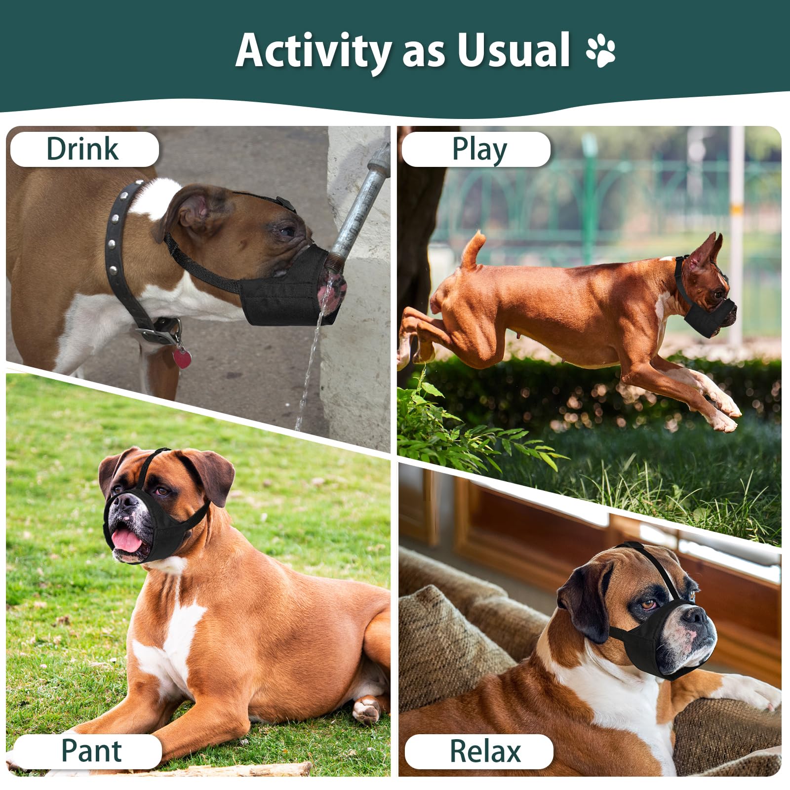 Mayerzon Pitbull Muzzle during vet or grooming visits.