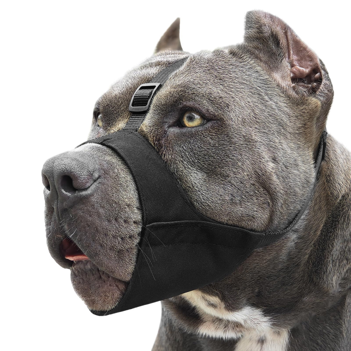 Mayerzon Pitbull Muzzle front view with anti-slip strap for safer walks.