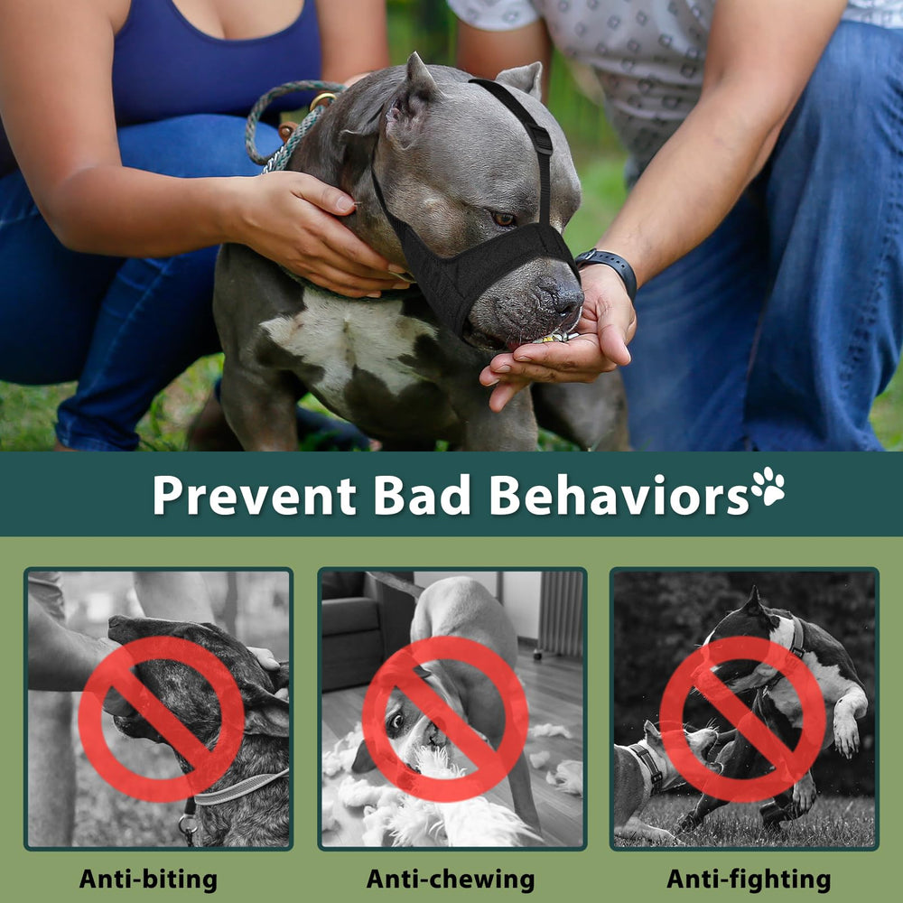 Mayerzon Pitbull Muzzle sizing guide with measurement tips.