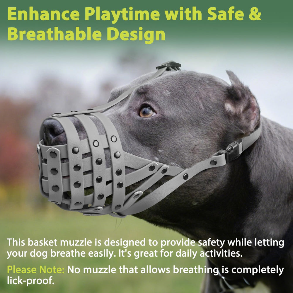 Mayerzon Pitbull Muzzle training-use-tips invites positive reinforcement for gradual acceptance.