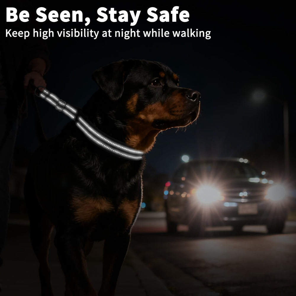 Mayerzon reflective webbing on collar highlighting safety during low-light training.