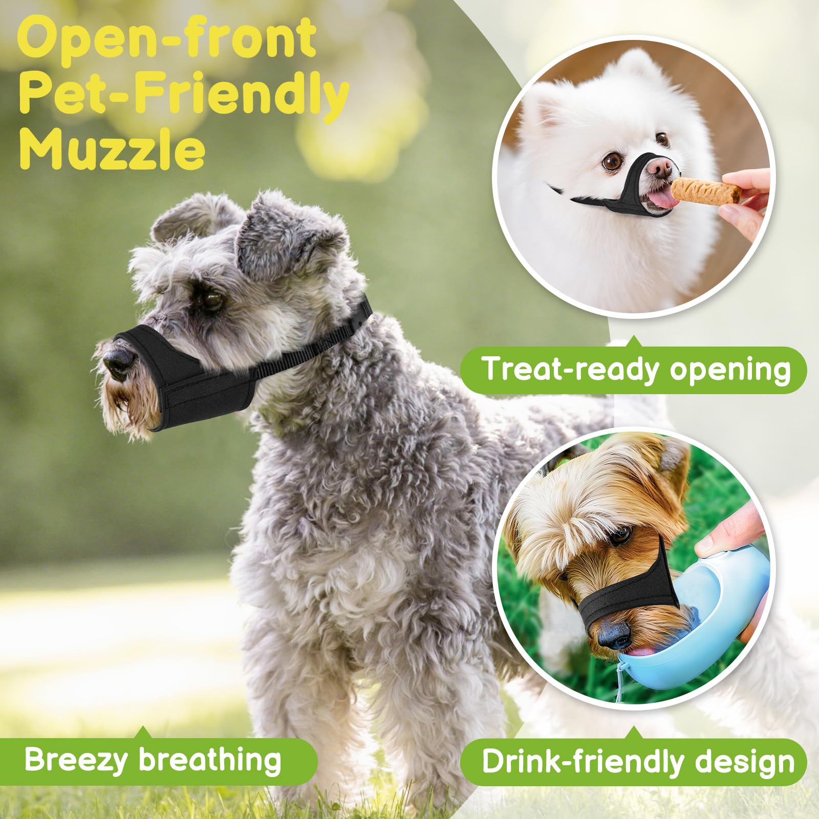 Mayerzon Short Snout Muzzle semi-closed panting and drinking; walks and vet visits.
