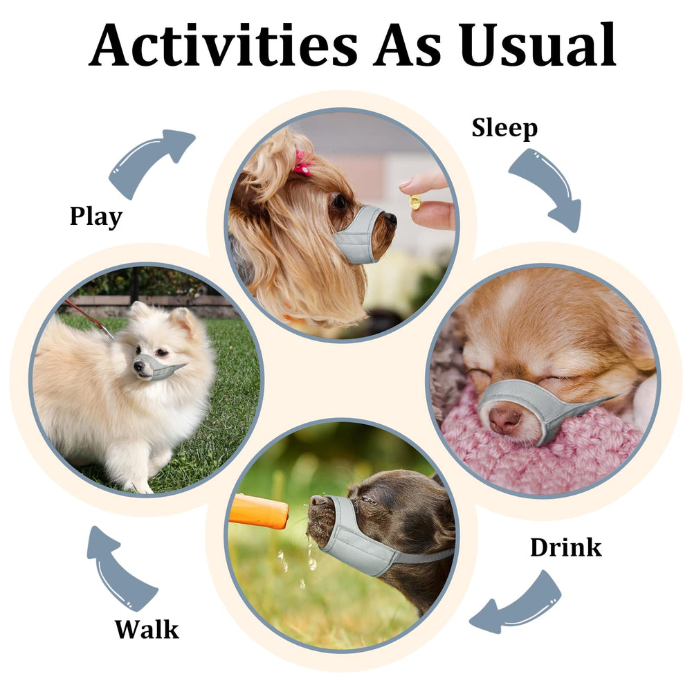 Mayerzon Grooming and vet visit muzzle ideal for calm sessions