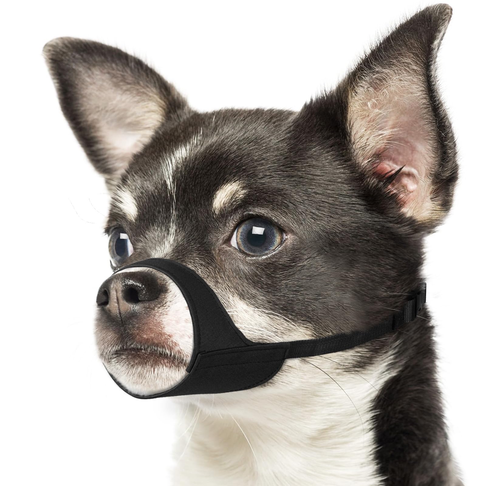Mayerzon Short Snout Dog Muzzle XXS fit for small dogs.