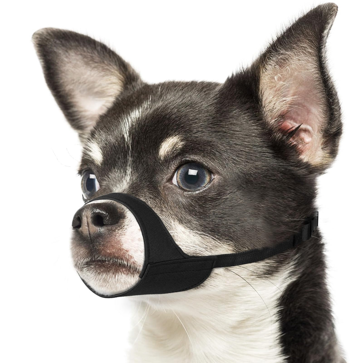 Mayerzon Short Snout Dog Muzzle XXS fit for small dogs.