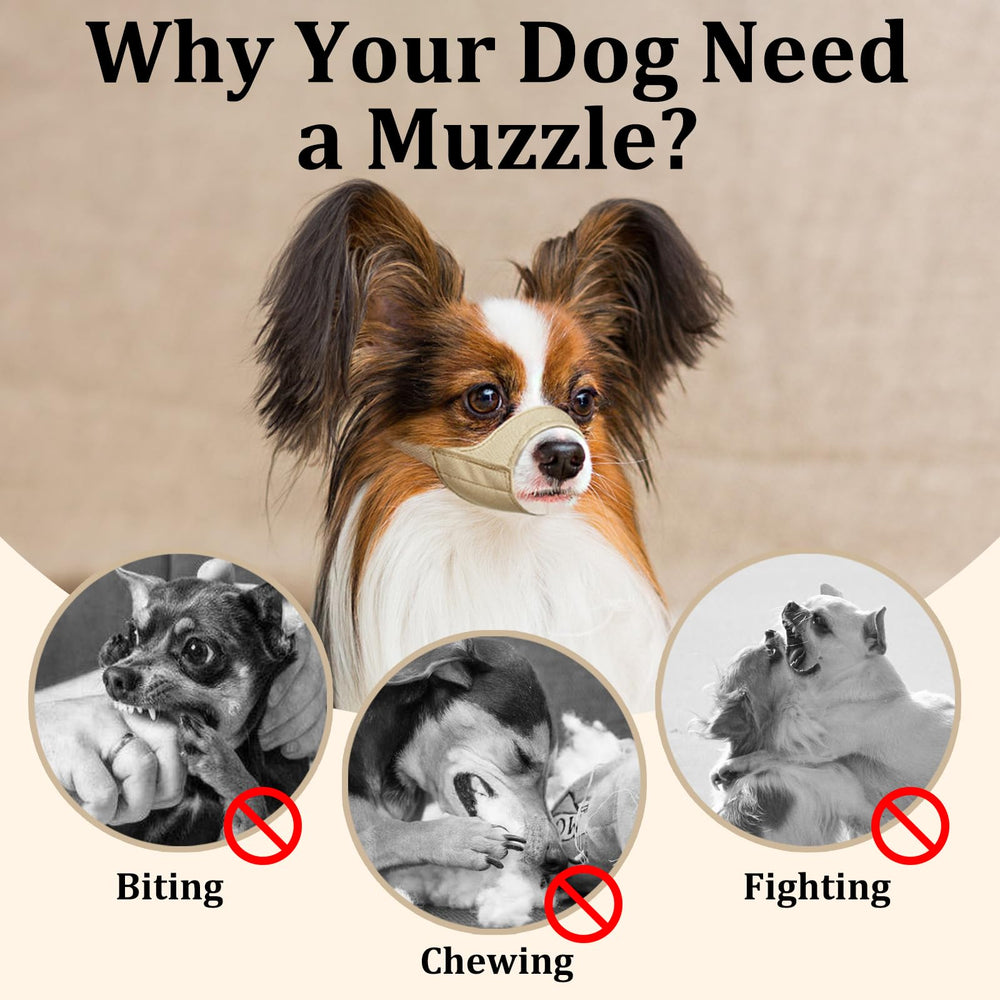 Mayerzon short-snout muzzle enables safe walks and travel without biting.