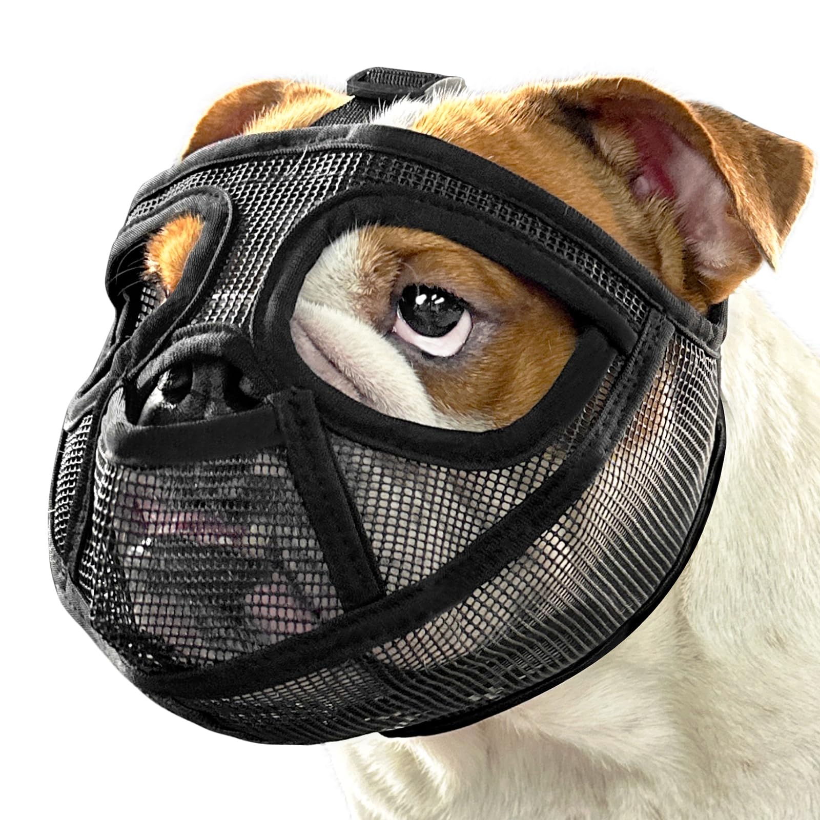Mayerzon short snout muzzle with full pant design for safer outdoor walks.