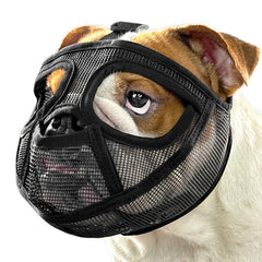Mayerzon short snout muzzle with full pant design for safer outdoor walks.
