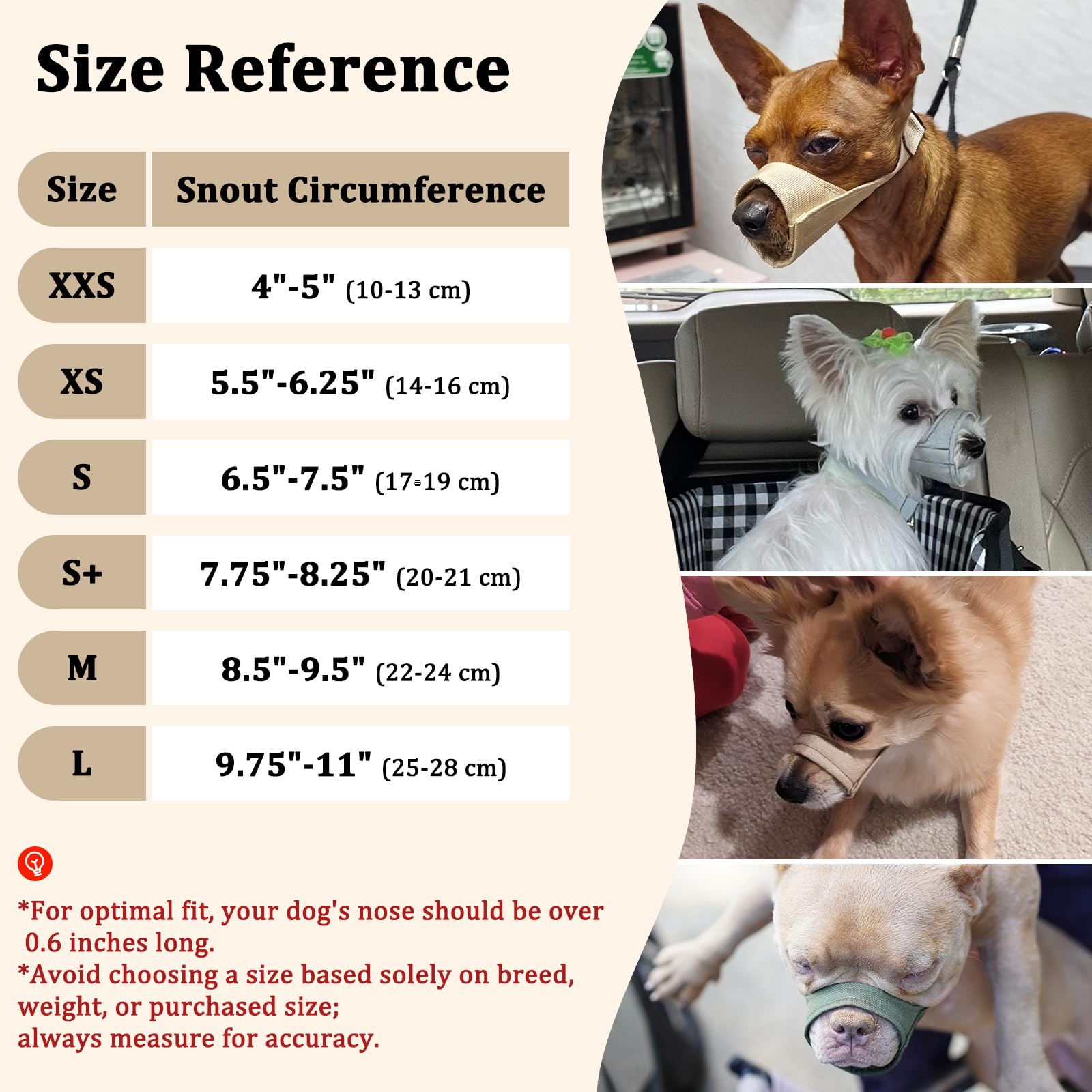 Mayerzon short-snout muzzle supports breathing and eating during vet visits.