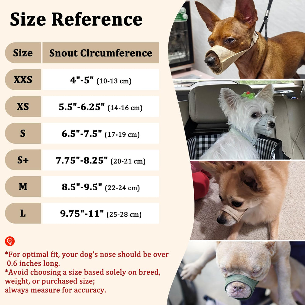 Mayerzon short-snout muzzle supports breathing and eating during vet visits.
