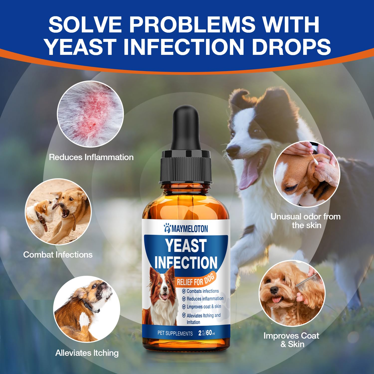 MaymeLoton dog-food-mix demonstrates easy integration into meals.