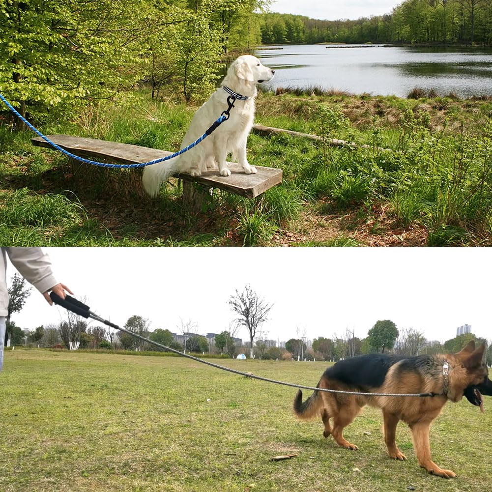 MayPaw long leash for sniffing and exploration