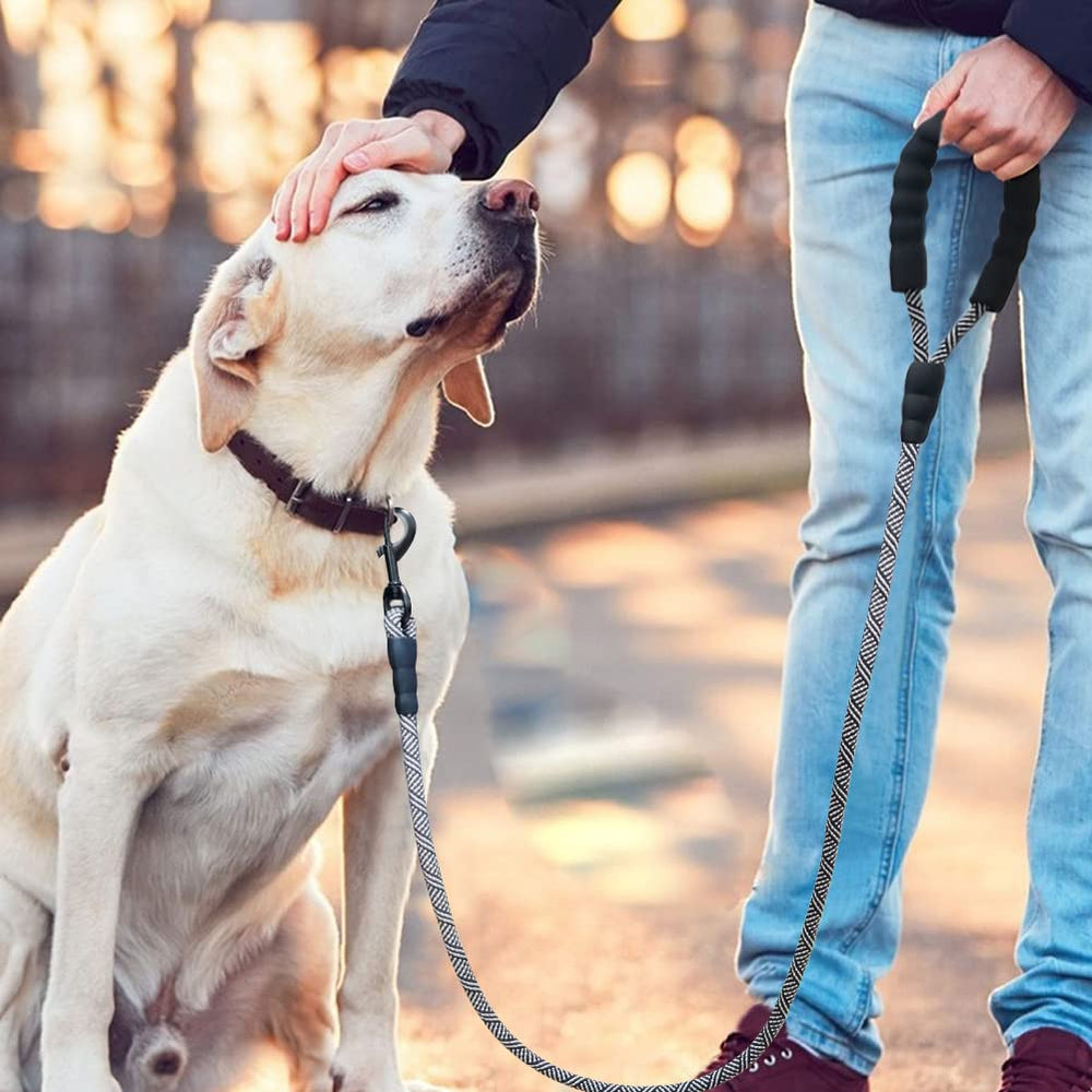 MayPaw leash color options to match style and personality