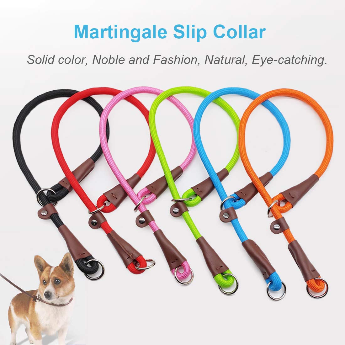 MayPaw slip collar color pink bright option for stylish walks