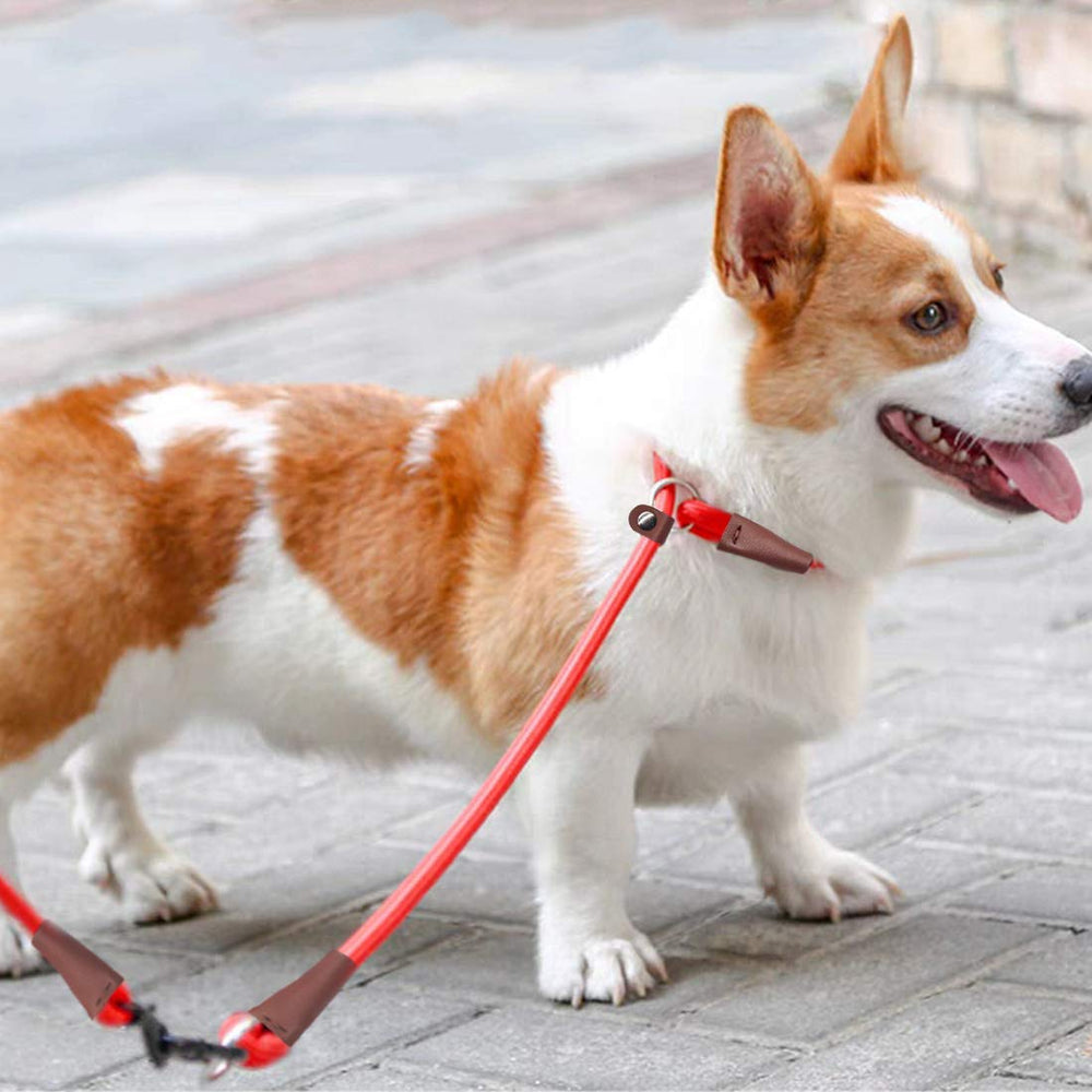 MayPaw slip-collar large-dog fit shown with 24in length.