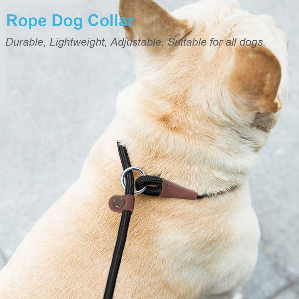 MayPaw slip-collar six-color options highlight training style variety.
