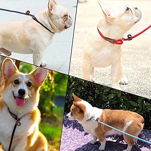 MayPaw slip lead blends fashion and function for comfortable strolls.