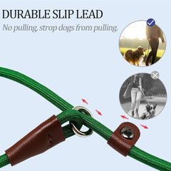 MayPaw Slip Lead leather connection close up highlights sturdy join for long lasting use