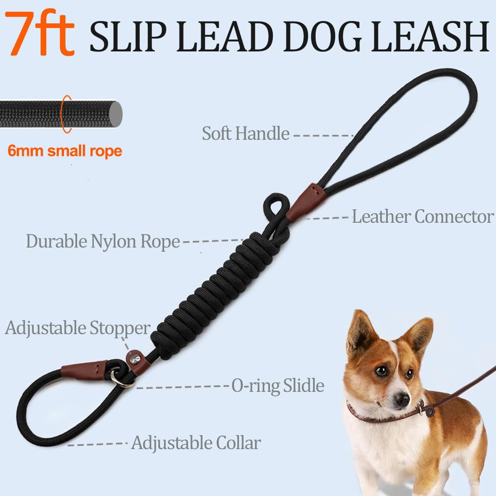 MayPaw slip lead during training helps with heel and stay commands safely.