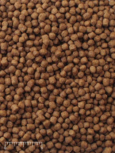 Dieta Mazuri para tortugas, adecuada para todas las etapas