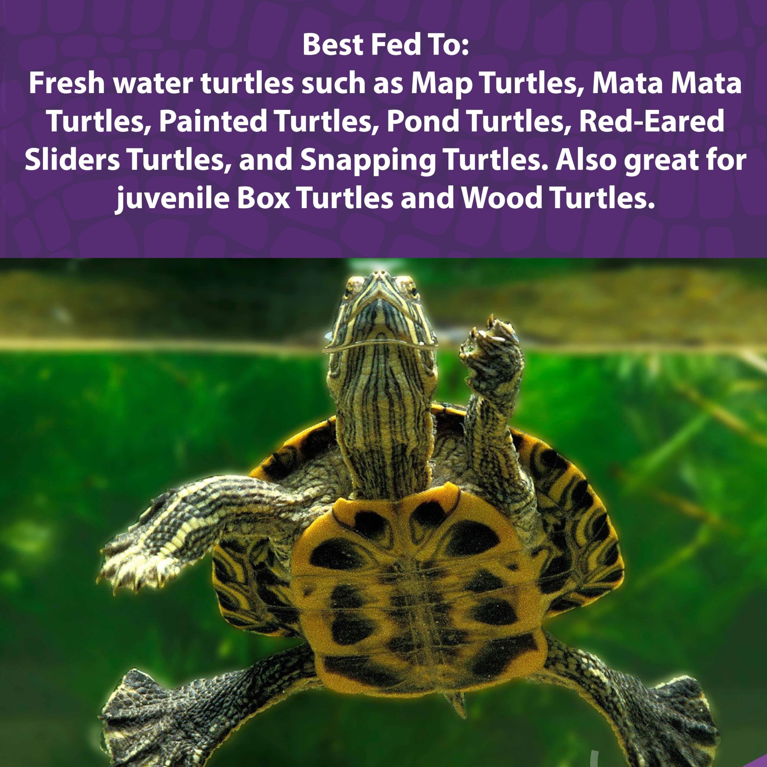 Pellets redondos flotantes de Mazuri para tortugas