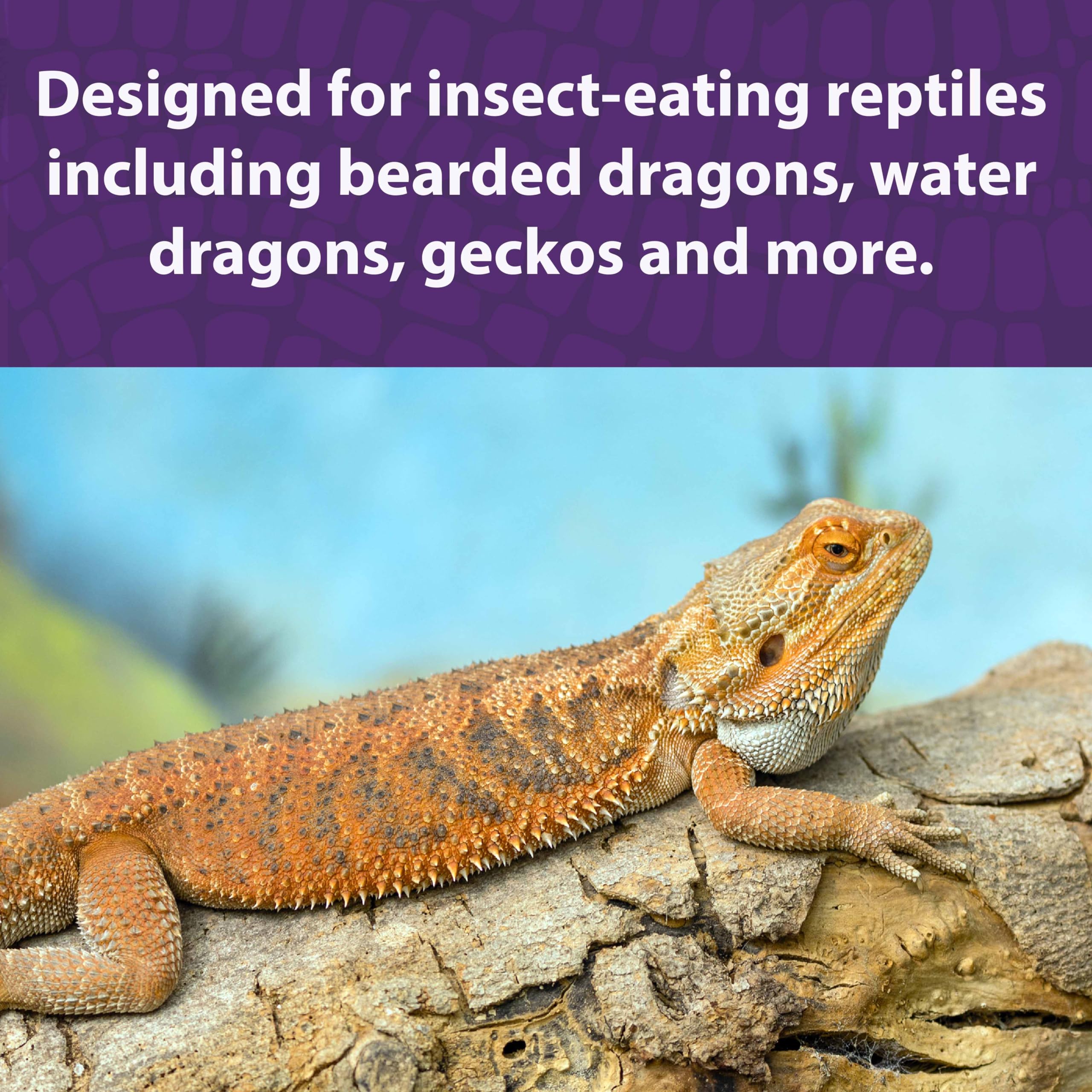 Mazuri Bearded Dragon Diet insectivores close-up communicates formulated feeding plan for insectivores.