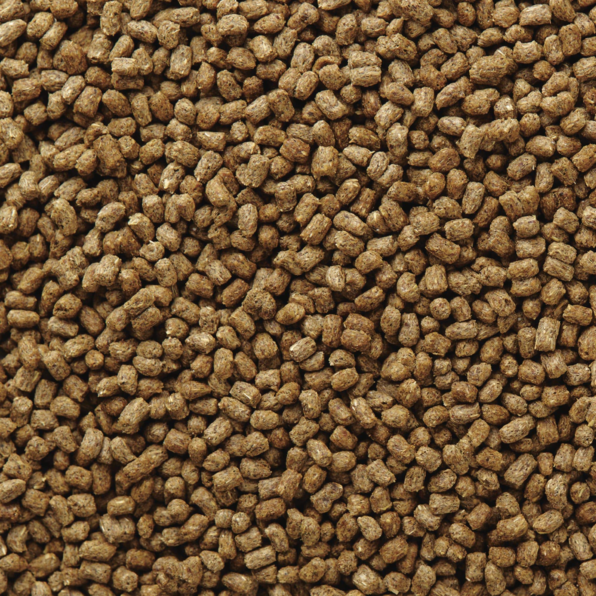 Mazuri Bearded Dragon Food packaging-closeup highlights no artificial flavors in the mix.