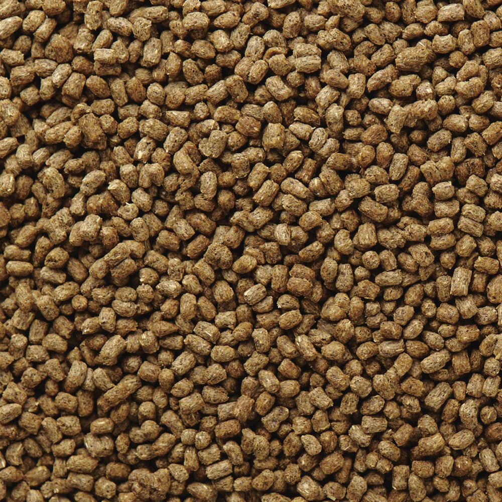 Mazuri Bearded Dragon Food packaging-closeup highlights no artificial flavors in the mix.