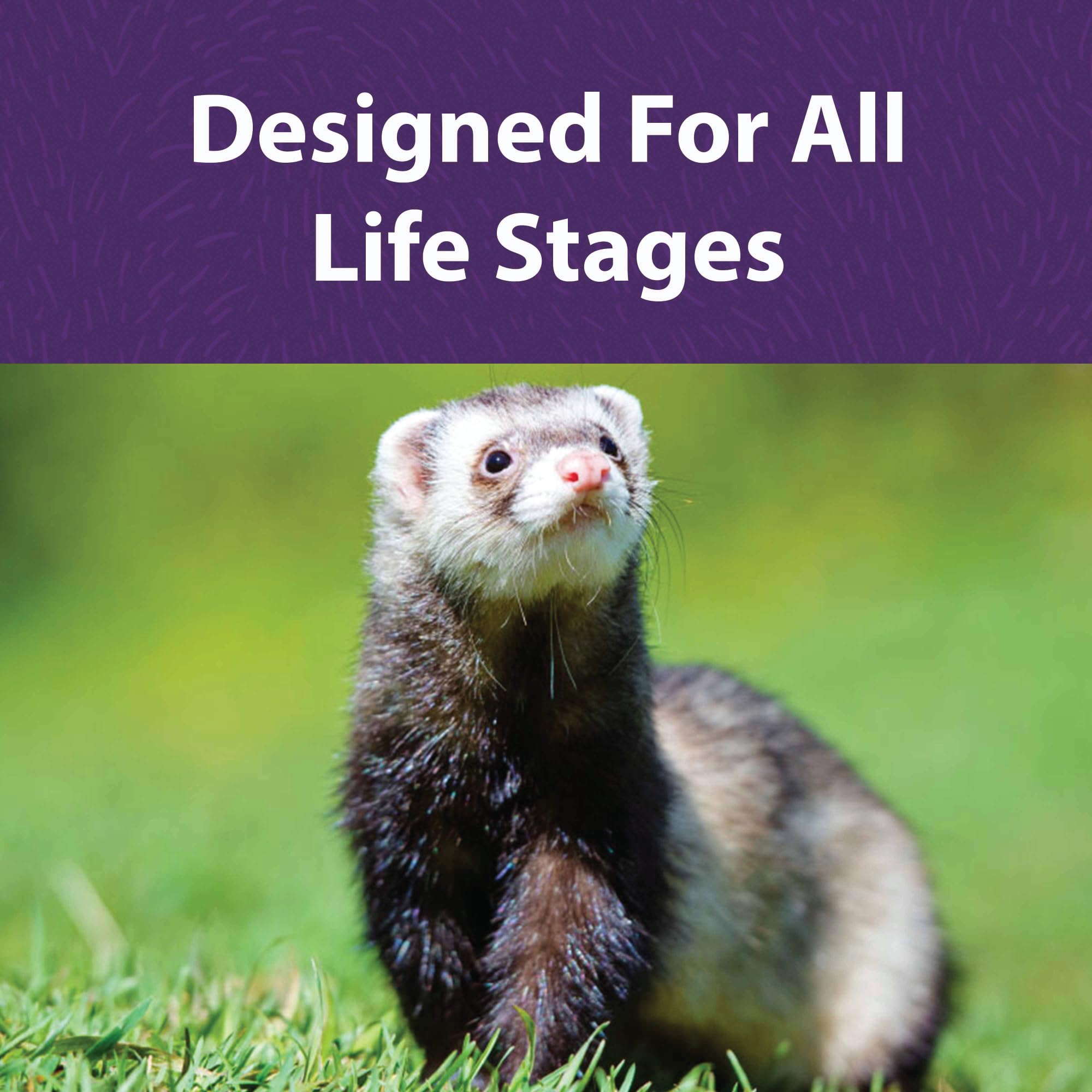 Mazuri Ferret Diet omega-3 imagery supports healthy skin and shiny coat.