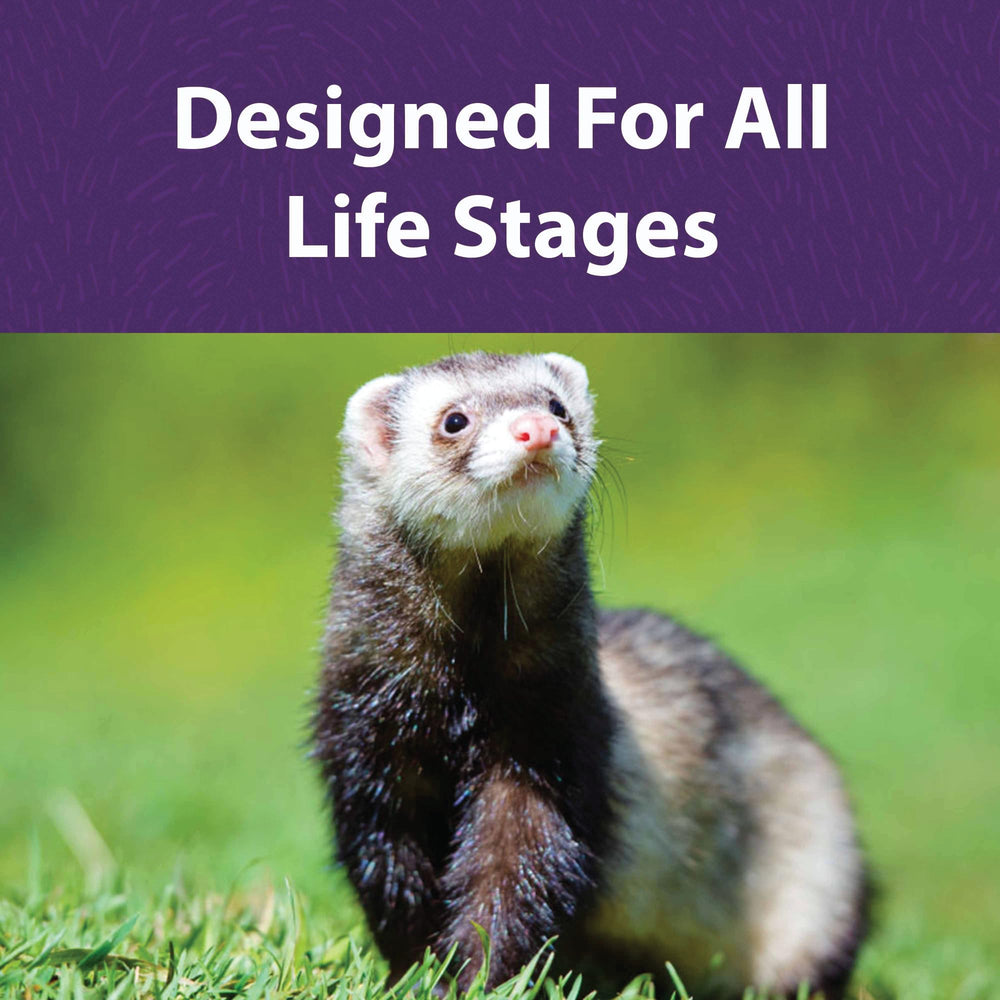 Mazuri Ferret Diet omega-3 imagery supports healthy skin and shiny coat.