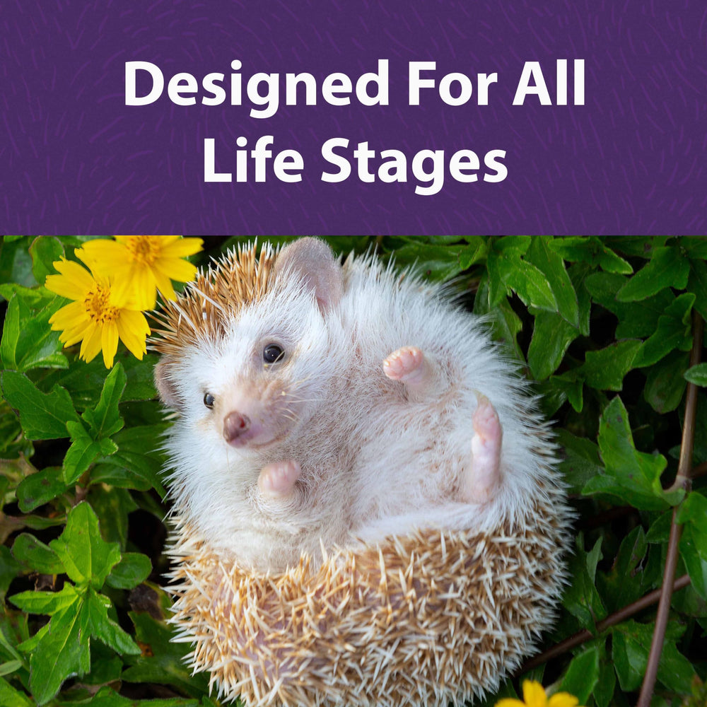 Mazuri hedgehog growth nutrition image highlighting vitamins E and fatty acids for development