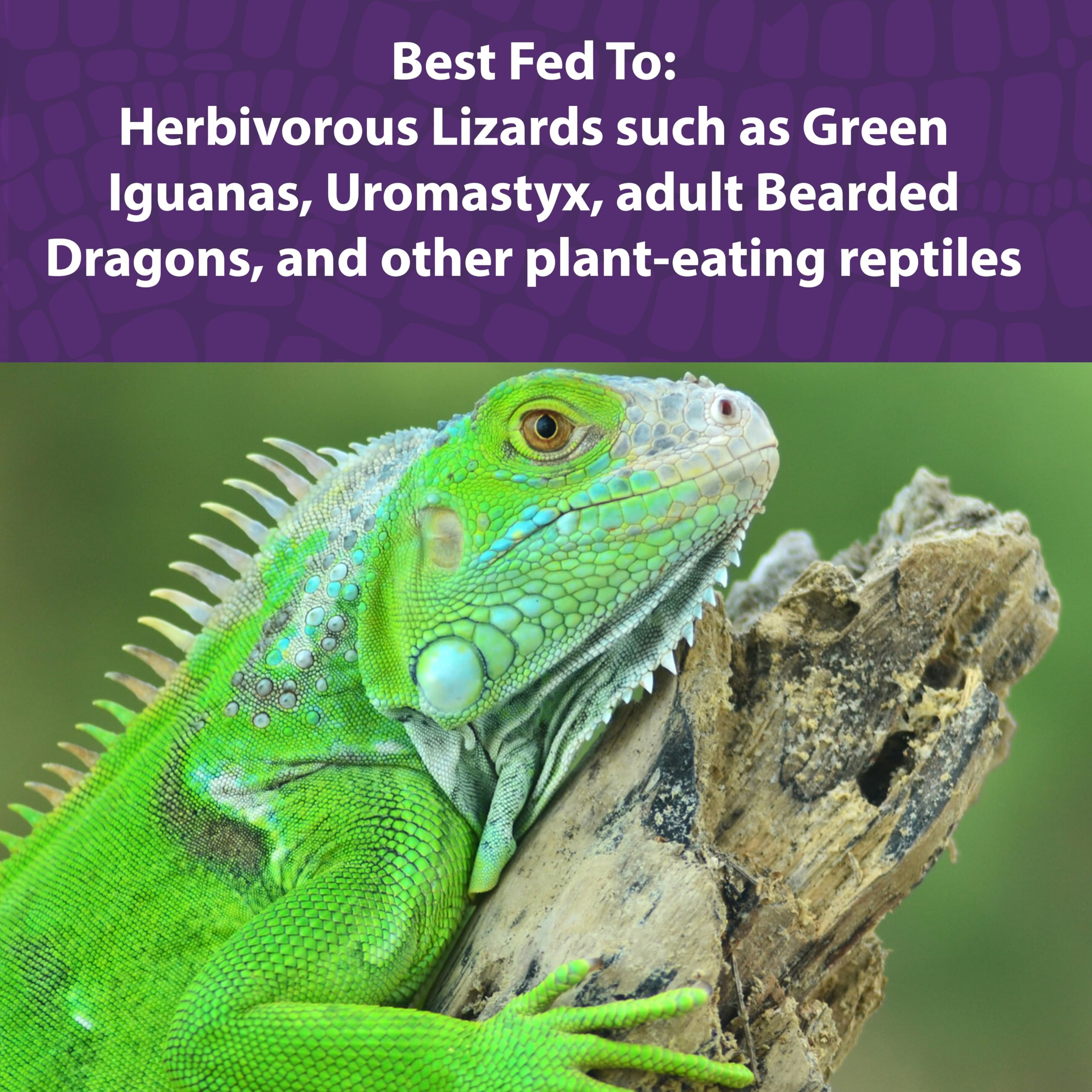 Mazuri Herbivorous Reptile Diet with live probiotics signals gut health support