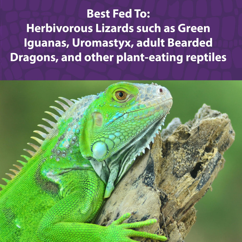 Mazuri Herbivorous Reptile Diet with live probiotics signals gut health support
