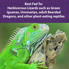 Mazuri Herbivorous Reptile Diet with live probiotics signals gut health support