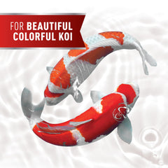 Floating 2mm pellets on water surface enable easy feeding and surface-based viewing.