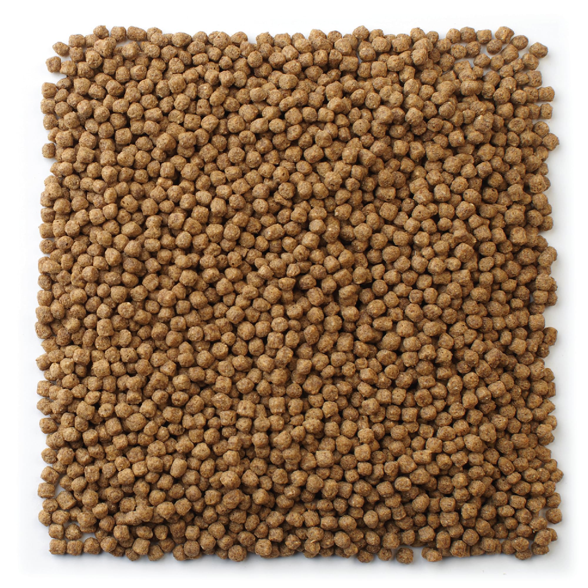 Mazuri Koi Premium Food Small probiotics support digestion and overall health.