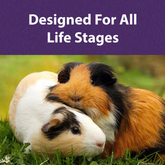 Mazuri Timothy-Based Guinea Pig Food nutrition label shows balanced protein and minerals.